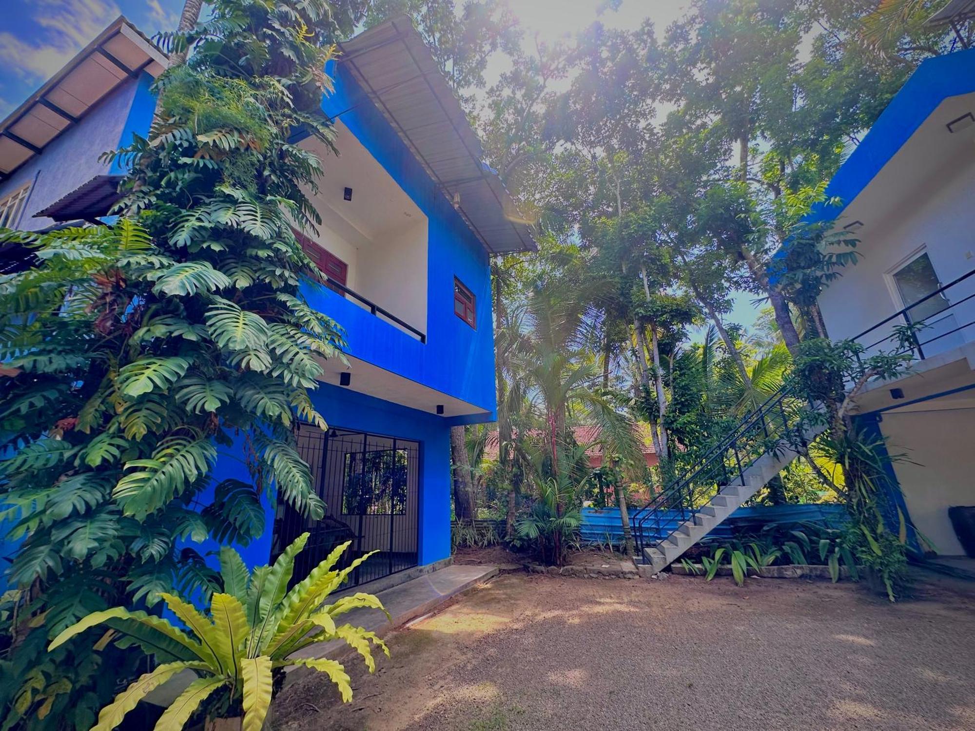 Bed and Breakfast Jungle Fence Bentota Exteriér fotografie