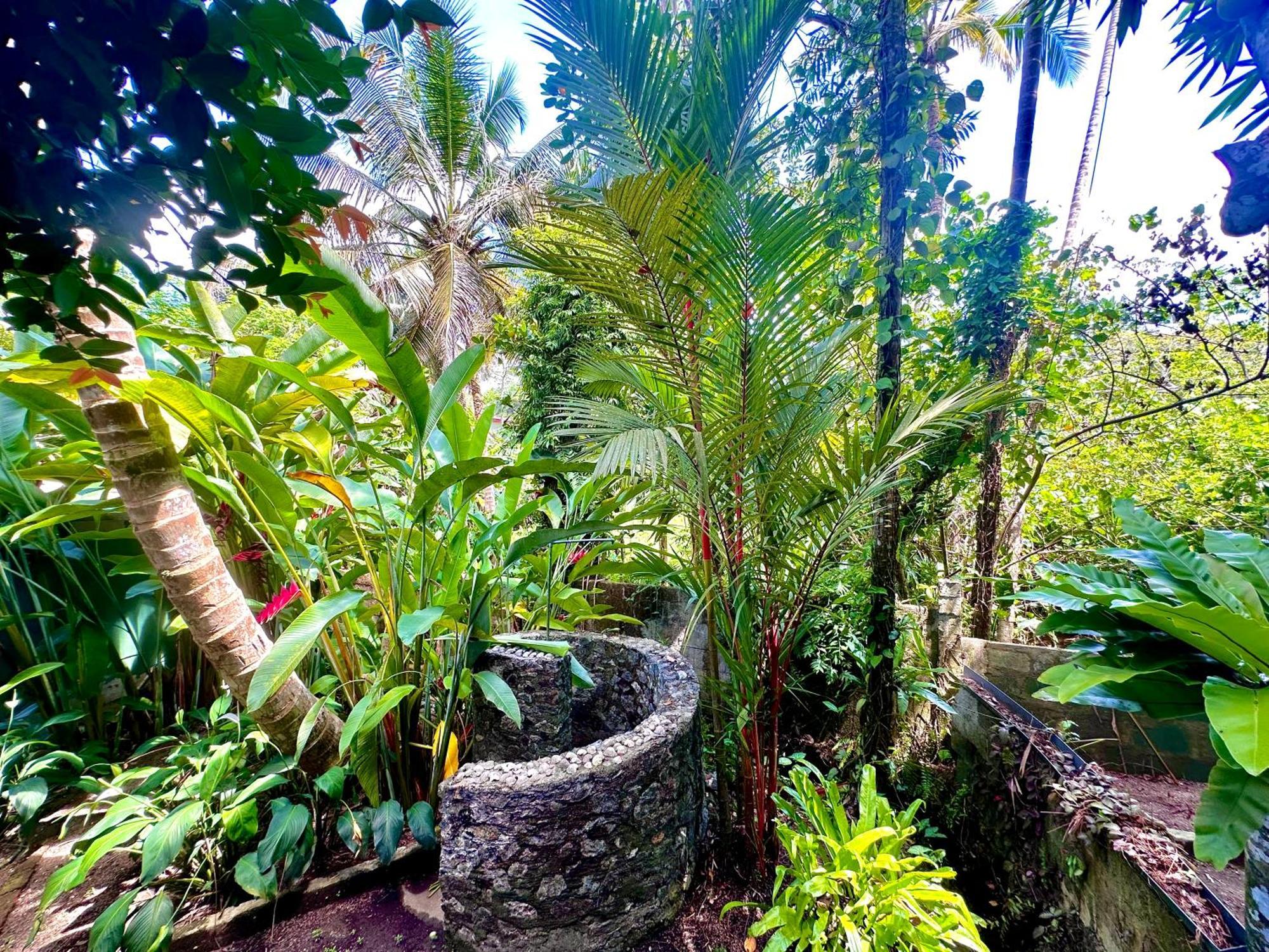 Bed and Breakfast Jungle Fence Bentota Exteriér fotografie
