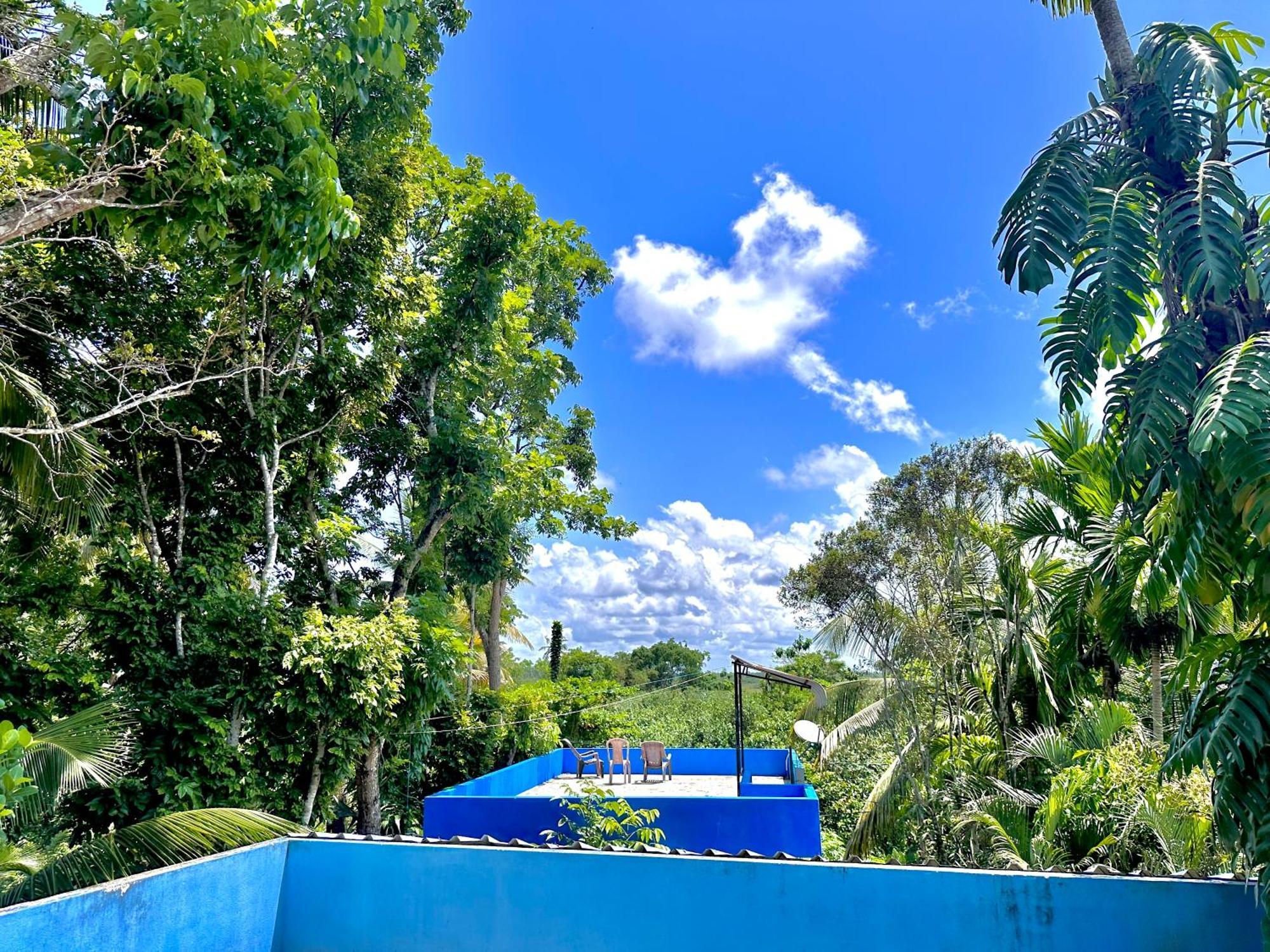Bed and Breakfast Jungle Fence Bentota Exteriér fotografie